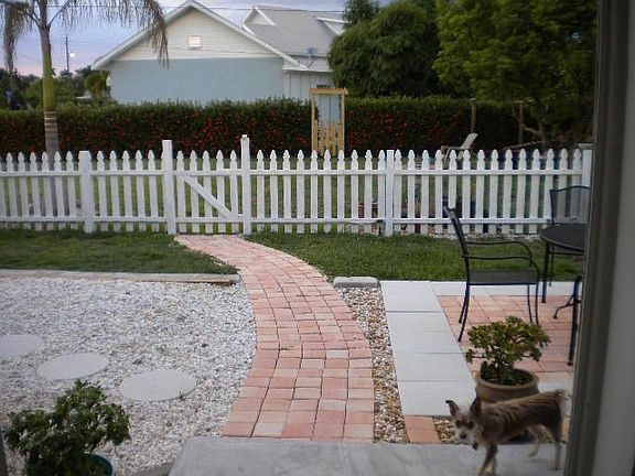 Back yard
