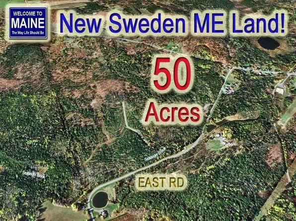 Lot 121 East Road, New Sweden, ME 04762