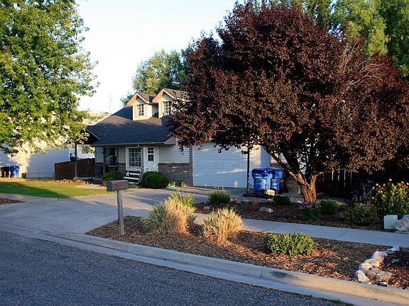 Completely Landscaped Yard
