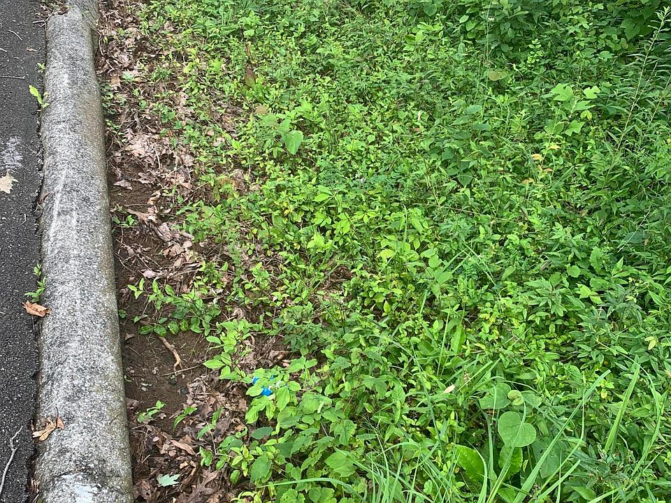 2nd image of 3392 Woodhaven Dr
