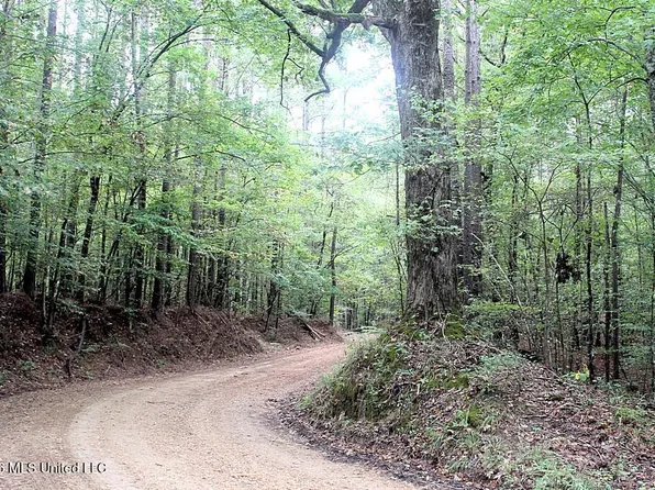 John Chambers Rd, Roxie, MS 39661