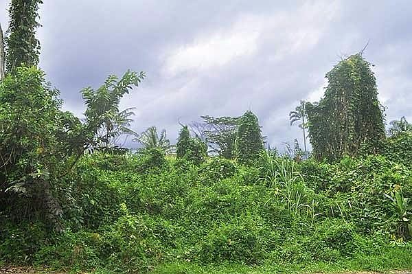 1st image of Puni Mauka Loop S Lot 405