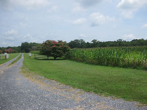 Driveway / Front Field