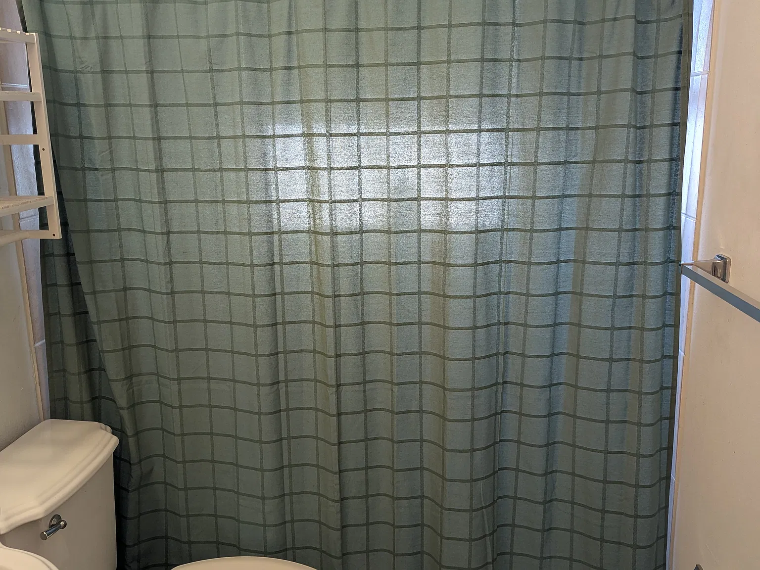 1 bed, 260 sqft, $1,000 — Photo 4