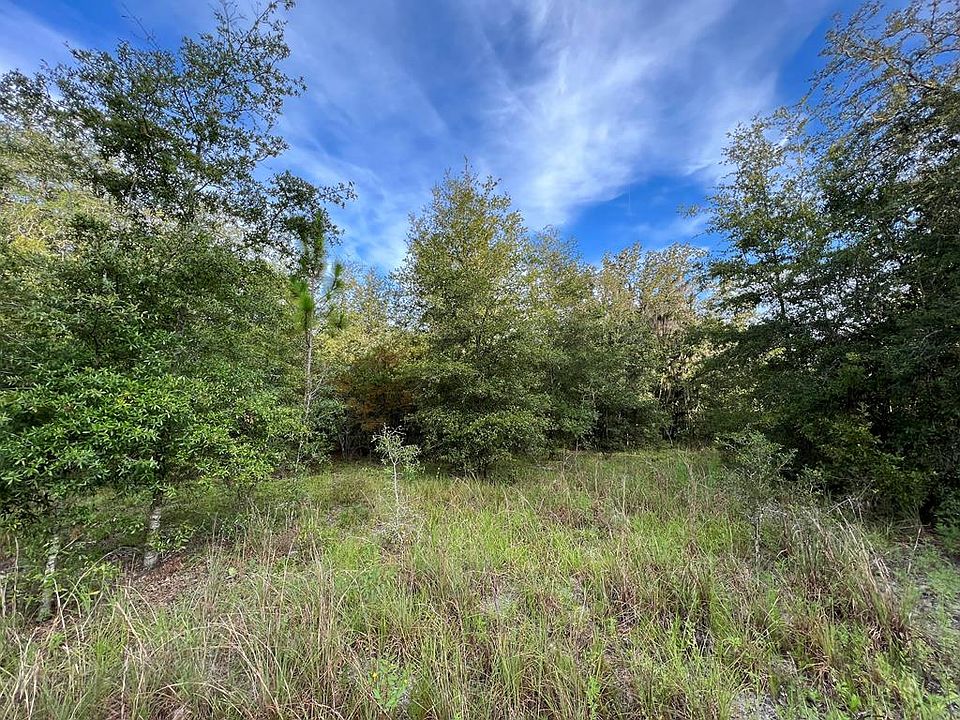 LOT 2 NW 20th Ave, Bell, FL 32619 MLS 788130 Zillow