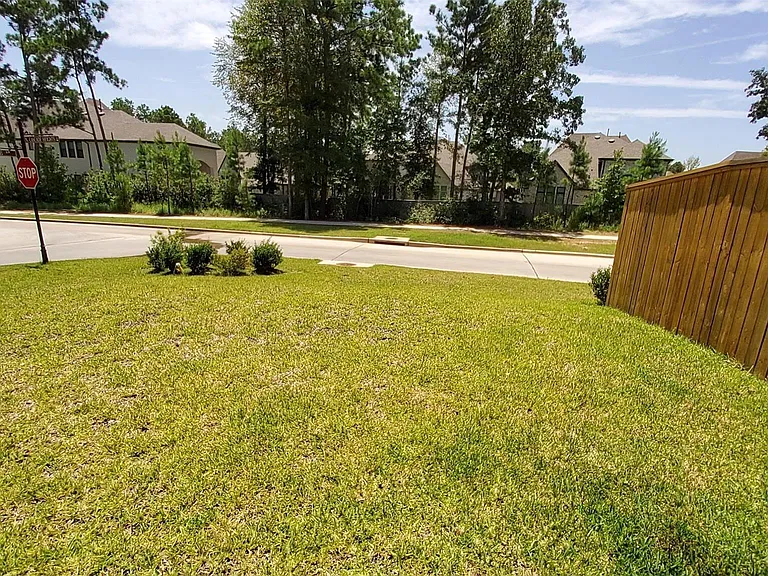 305 Rise Ln — Photo 44