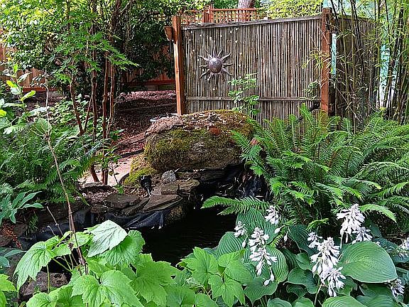 front of house garden area
