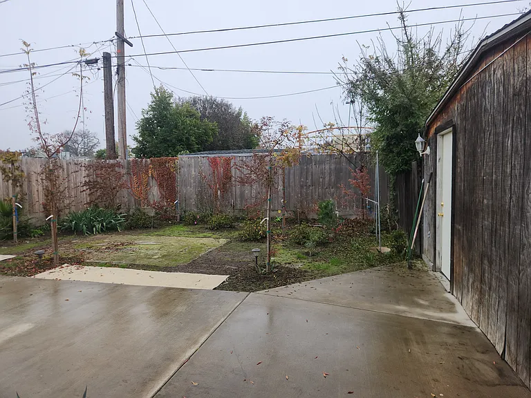 Fenced back yard