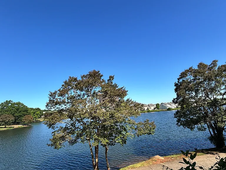 589 Starlight Dr #8 — Photo 4
