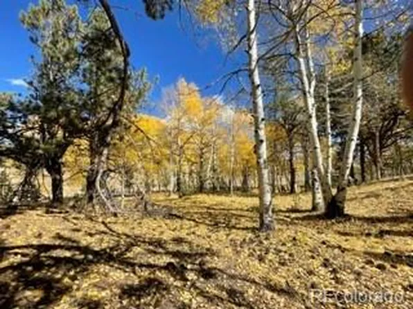 3321 S Muley Gulch Drive, Hartsel, CO 80449