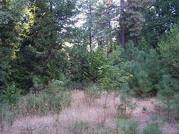 Prestigous Wylderidge Community 