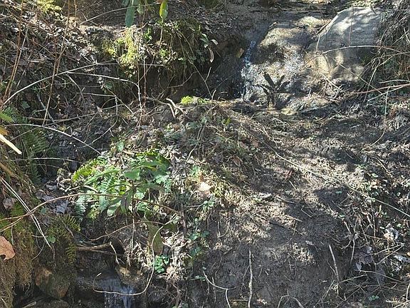 4th image of 12 Chigger Rdg