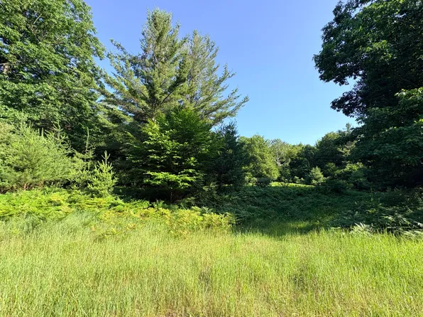 Wildwood Trl Lot A, Manistee, MI 49660