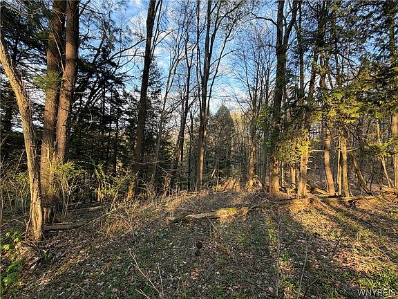 5th image of 0 Pit Rd Lot 22