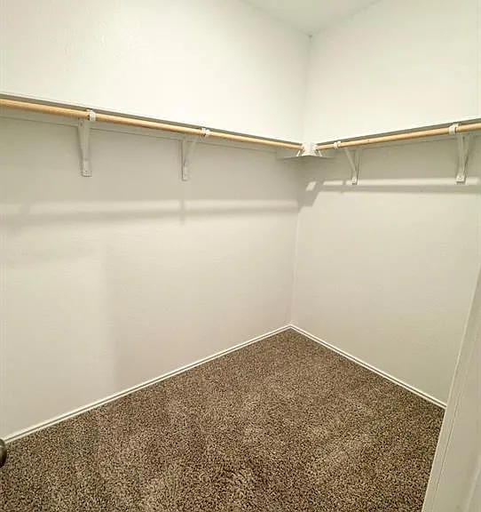13707 Tordillo Dr — Photo 13