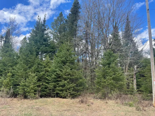 Pociask Rd, Butternut, WI 54514