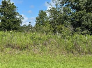 413 E Parker Loop LOT 20, Dunnellon, FL 34434