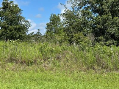 413 E Parker Loop LOT 20, Dunnellon, FL, 34434