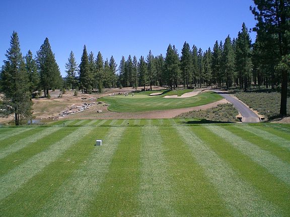 8th hole from tee