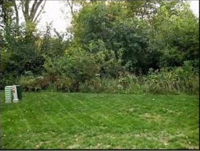 3rd image of 2428 Woodside Dr