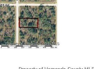 15044 Duck Hawk Rd, Weeki Wachee, FL 34614