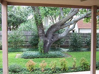 3rd image of 6209 Lotus Dr