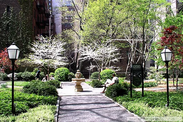 Sold by Steven Corcoran Real Estate | media 8