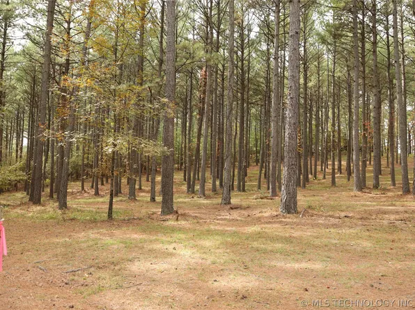 1767 Goat Rock Rd, Smithville, OK 74957