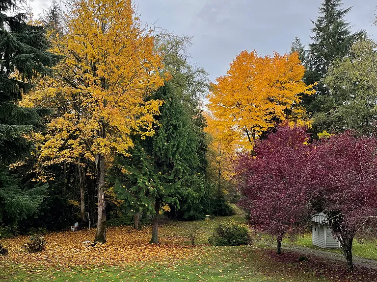 The view from the master bedroom in the fall.