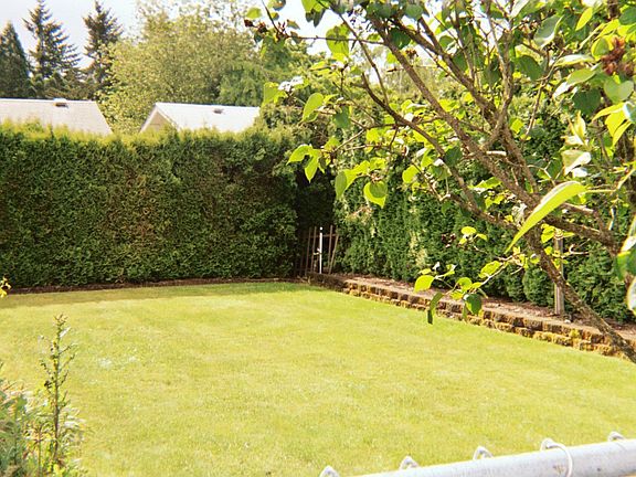 Left Side of Backyard