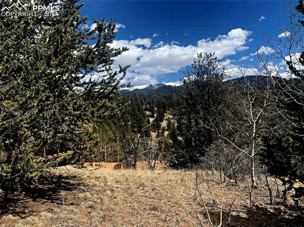 516 Fairview Dr, Cripple Creek, CO 80813