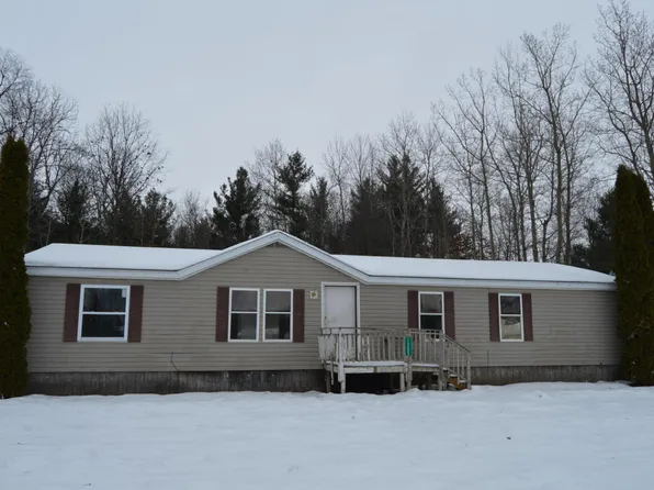 13083 Nineteen Mile Rd, Gowen, MI 49326