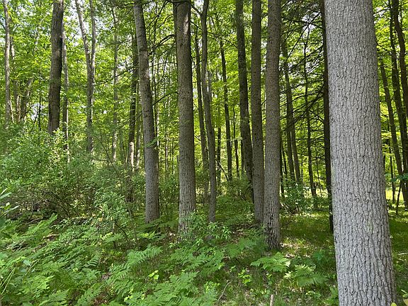 5th image of 11409 Heather Ln #35