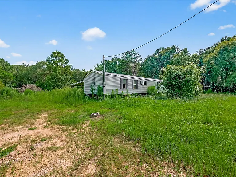 905 County Road 379 — Photo 4