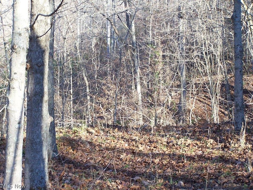 2nd image of Fingerboard Rd