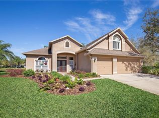 15301 Palomapark Ln, Lithia, FL 33547