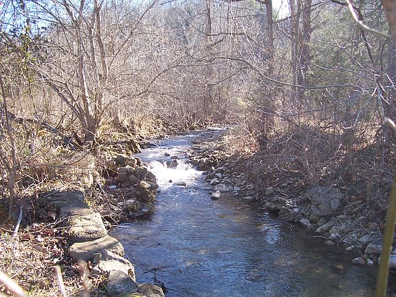 3rd image of 1609 Kanawha Trl