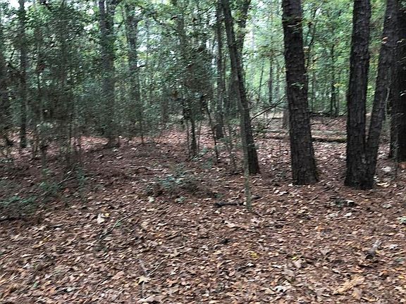 4th image of 550 Woodland Oak Dr