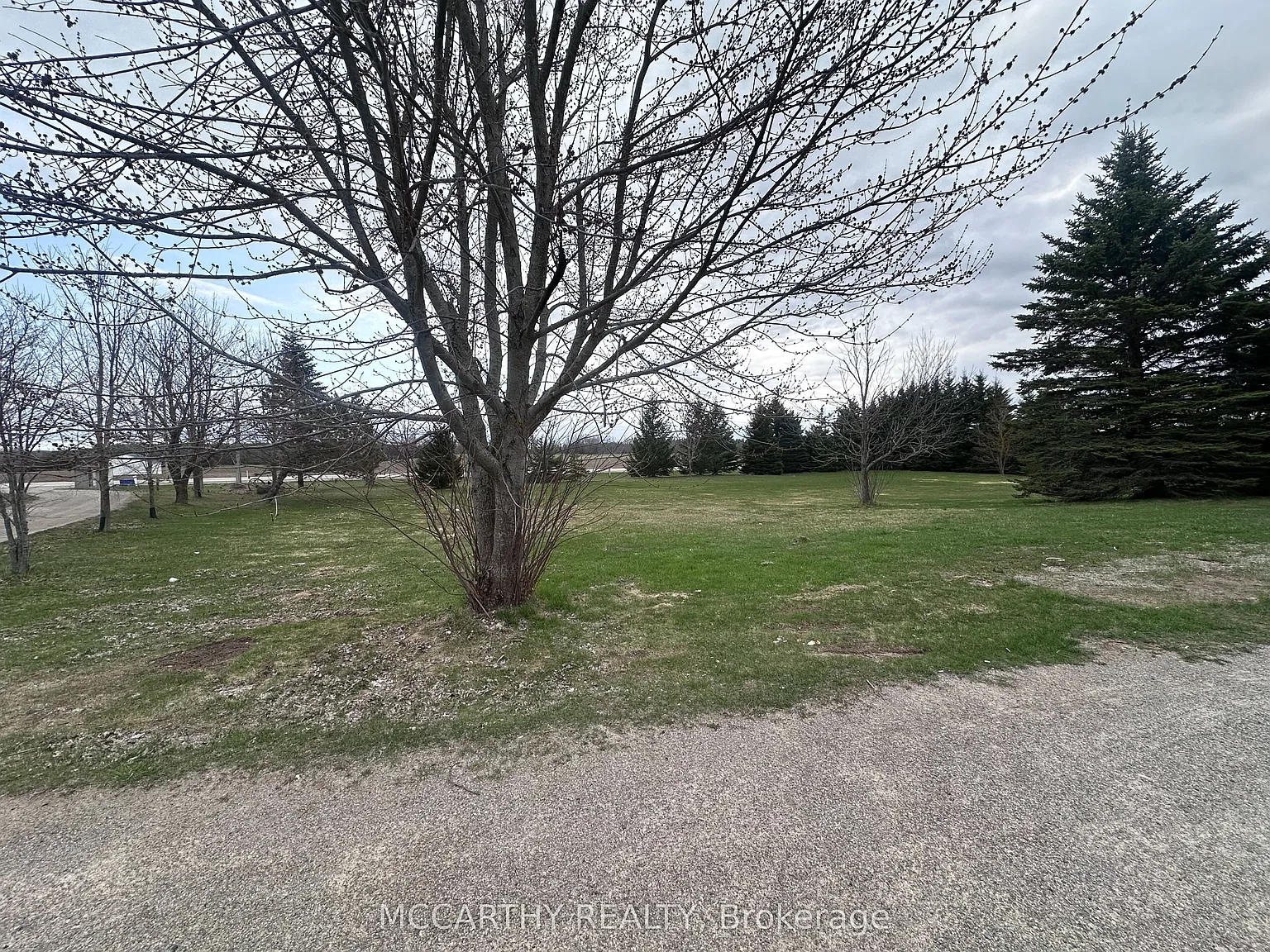 3 bed, $3,650 — Photo 4