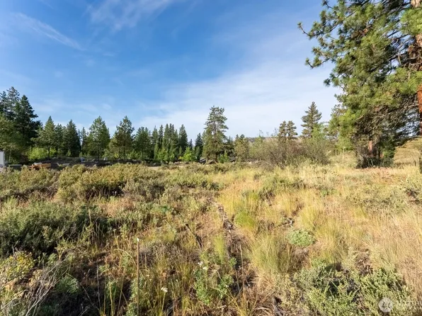 615 Pine Loop, Winthrop, WA 98862