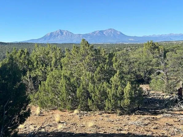 12 City Rnch, Walsenburg, CO 81089