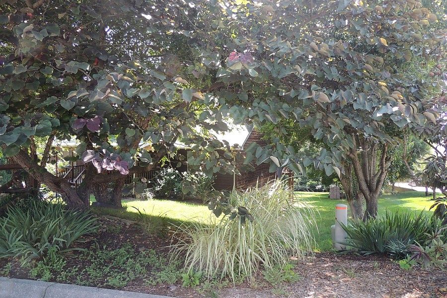 2nd image of 388 Beulah Land Dr