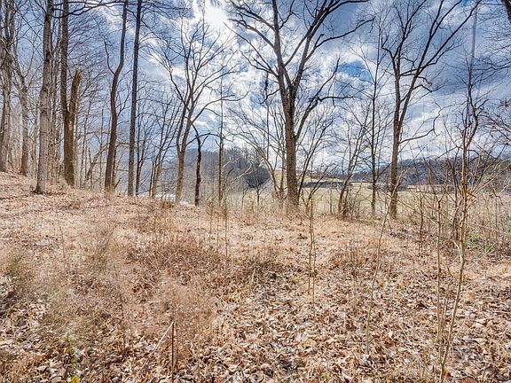 4th image of Holston Drive Ln