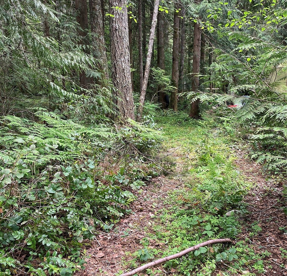 71 N Mt Washington Drive, Hoodsport, WA 98548 Zillow