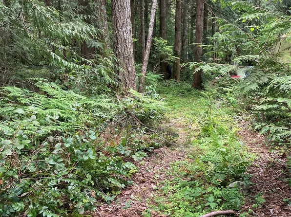 71 N Mt Washington Drive, Hoodsport, WA 98548