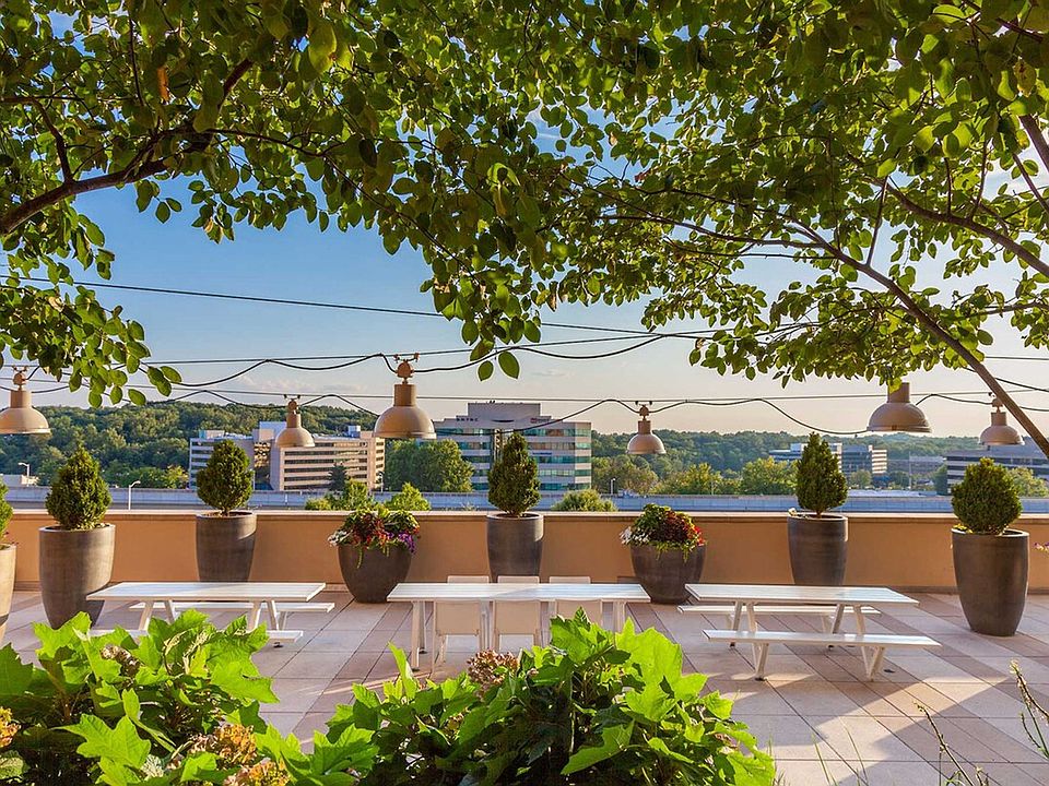 Terrace View