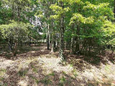 198 Lakeview Cir, WALESKA, GA, 30183