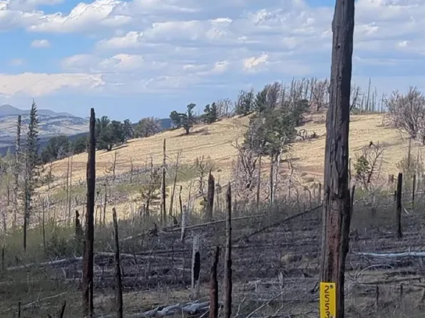2553 Fine Place, Fort Garland, CO 81133