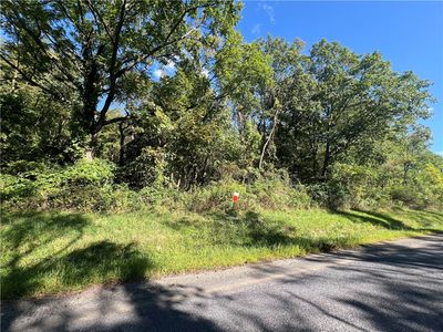 0 Wicks Rd, Montour, NY, 14865