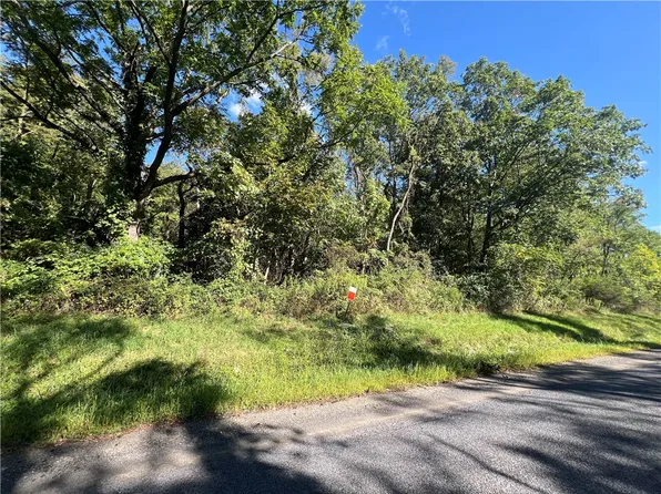 0 Wicks Rd, Montour, NY 14865